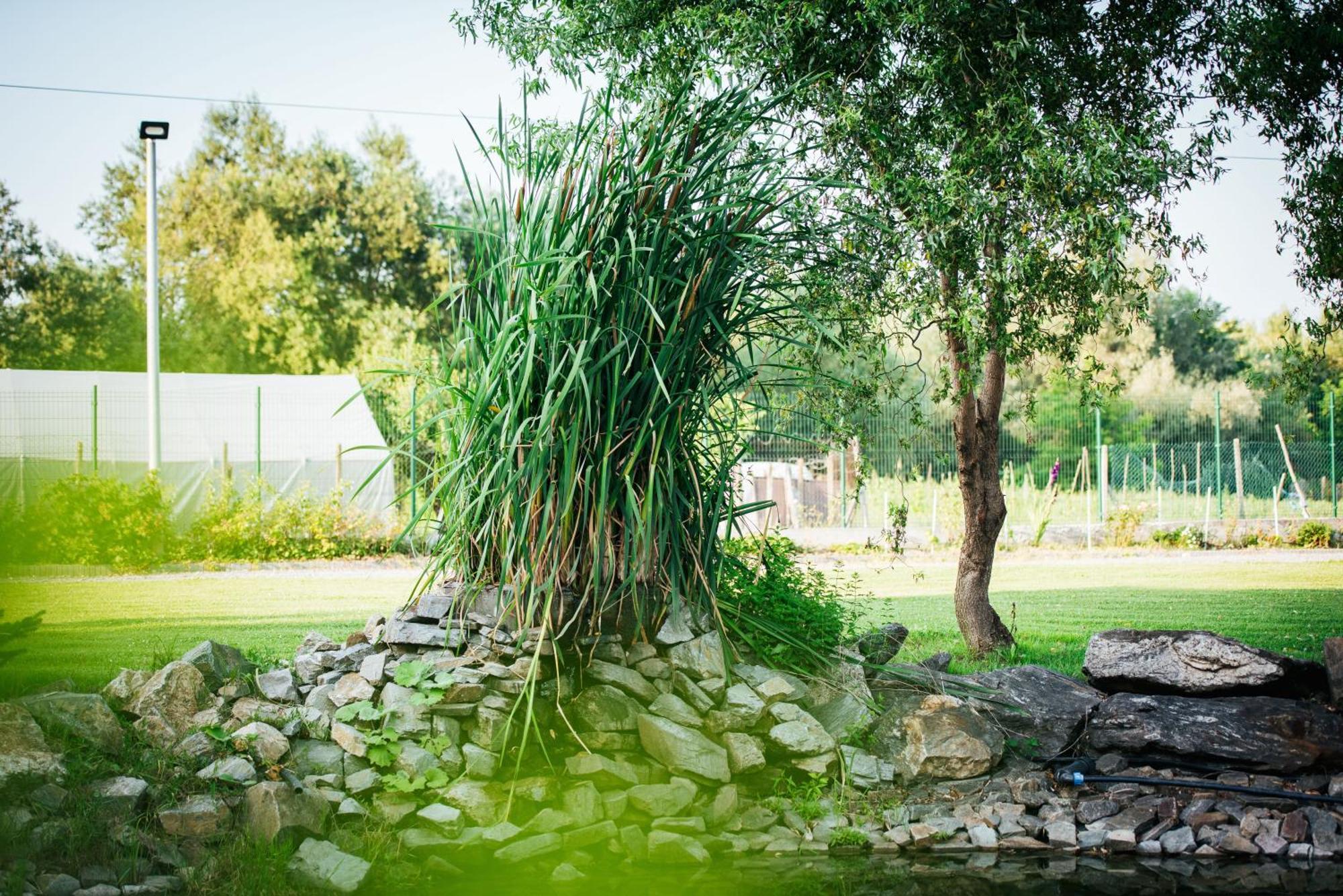 Rai Romanesc Sălişte Exteriör bild