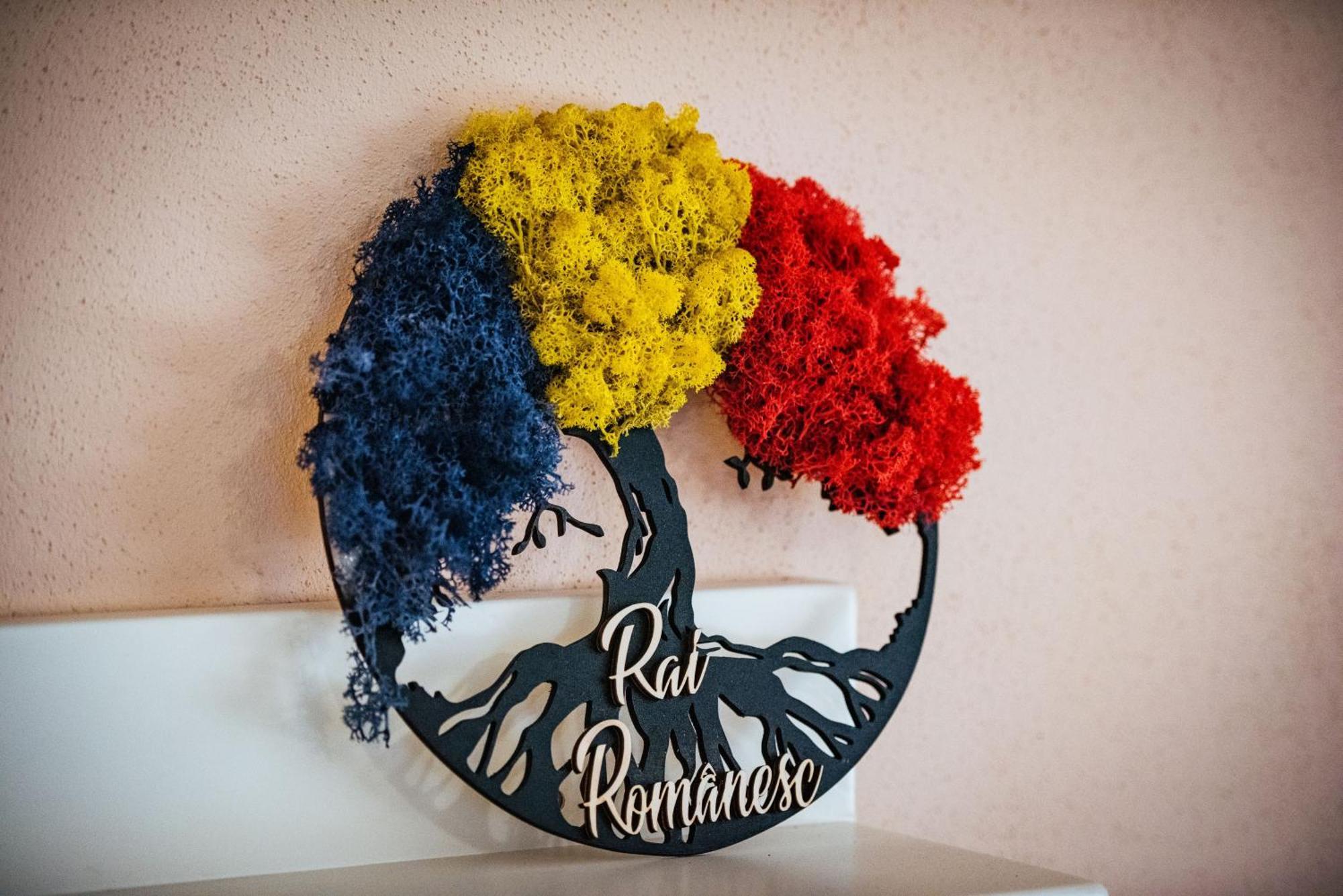 Rai Romanesc Sălişte Exteriör bild